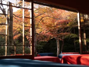Jardin Solaire Créateur de Jardin Japonais Zen à Grézieu-la-Varenne