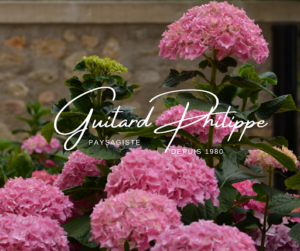 Guitard Philippe à Pézenas