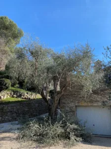 SANCHEZ GARDEN à Cagnes-sur-Mer