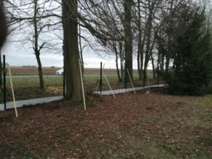 Champtoussel Jardin Elagage/ Jardinier-Paysagiste/ Aménagement / Entretien/ Elagage/ Clôture/ Provins, Nangis, Jouy le Chatel à Chenoise-Cucharmoy