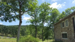 Le Jardin de Rigaudin à St-Chamond