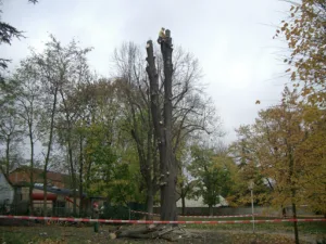 Jardins à part à Bois-Herpin