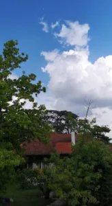 Lagrenée Jordan à Sorgues