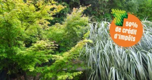 Taille à Dom’ | Jardinage Service à la Personne à Anse