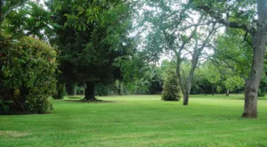Yock Jardinage à Oudon