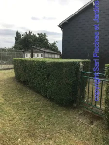 Sarl Piscines et Jardins à Mayenne