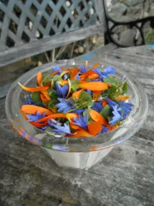 Des Heures Dehors – Paysagiste – Jardin Biodiversité et Comestible à Ploërmel