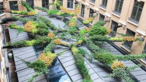 Gardens of Babylon à Paris