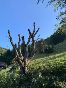 Héry Paysages à Ugine