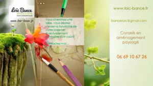Paysagiste Conseils auprès des particuliers. à Saint-Martin-de-Seignanx