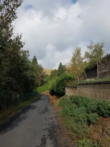 Mure Lionel à Ambert