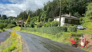 EIRL YOANN COLLAY PAYSAGE à Courpière