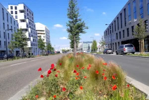 Espace Paysage d’Aquitaine, Création & entretien d’espaces verts à Eysines