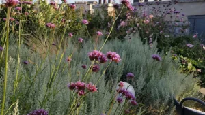 Un jardin m’a dit à Riespach