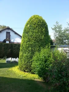 les mains vertes services à Anceaumeville