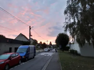Paysagiste Dampmart à Dampmart