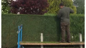Espaces Verts 45 – Elagage | Abattage | Elagueur Paysagiste à Ingré