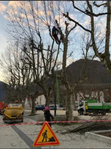 Auprès de mon arbre Perrillat Bottonet Axel à Saint-Jean-le-Vieux