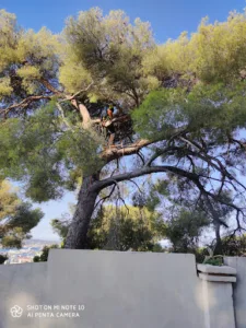 Marchisio Sebastien Serge Pierre à Le Revest-les-Eaux