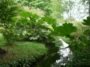 HD Parcs & Jardins à Dieppe