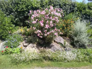 SARL Gwez RU – Cmonjardinier à Languidic