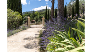 Atelier de Paysage – LIEUX 10 à Saint-Rémy-de-Provence