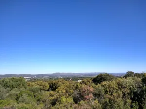 Méditerranée Paysage à Balaruc-le-Vieux