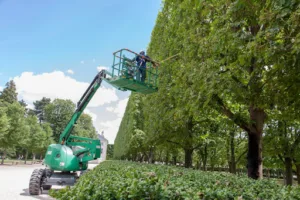 SEM parks à Plaisir