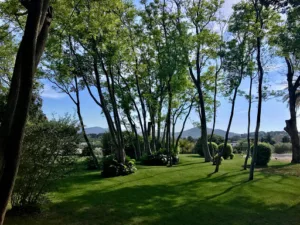 Sarl Terre de Provence à Six-Fours-les-Plages
