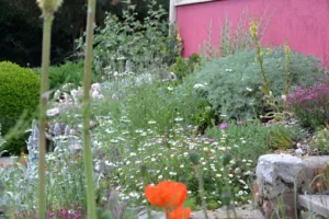 idees jardin 42 à Commelle-Vernay