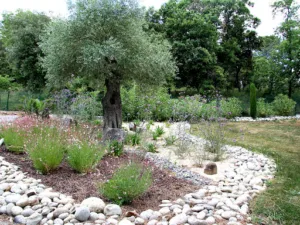 Jardin Passion à Carcassonne