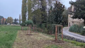 Perinature à Monplaisant