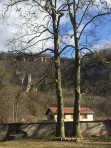 SAS TEDDY QUINSON à Châtillon-la-Palud