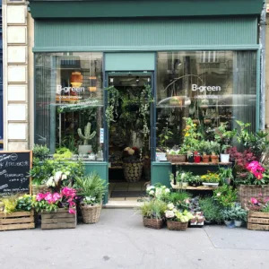 B.GREEN Artisan Terrariums – Paysagiste d’intérieur & d’extérieur à Paris