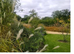 LANTANA PAYSAGE ENTRETIEN – TOURAINE ENVIRONNEMENT à Chisseaux