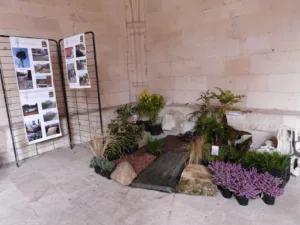 Art Vegetal | Paysagiste | Élagage | Abattage à Blénod-lès-Toul