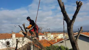 Oréane Paysagiste à Perpignan