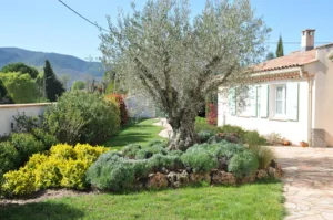 Zenner Paysage à Bédarieux
