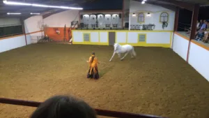 Iturria Pantxoa Joseph à Ascain