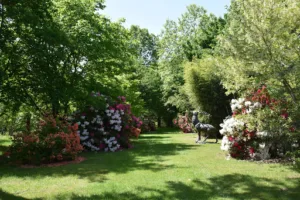 Parcs et Jardins de Sologne à Vannes-sur-Cosson
