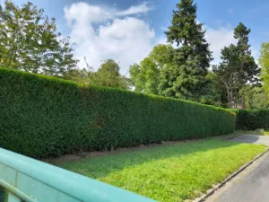 Ulv Création De jardins Services à Le Val-Saint-Germain