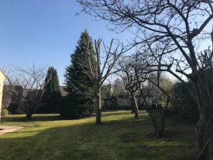 Catrain Jardin Services à Saint-Sauveur