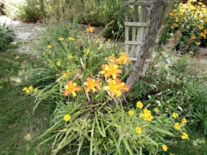 Terre de jardin à Robion