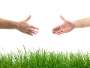 abc Green Jardinier paysagiste, murs végétal intérieur stabilisé, mur végétaux extérieur. à Mireval