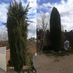 DE VERT EN VERT à Lozanne