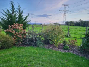Paysagiste MDMS à Beaurepaire-en-Bresse