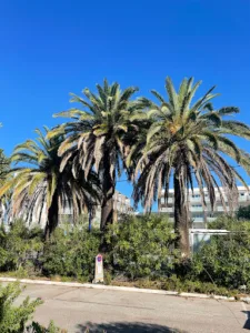T.e.c.a à Hyères