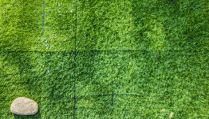 Dans un contexte marqué par des étés de plus en plus secs et une gestion raisonnée de l’eau, la recherche d’une pelouse résistante à la sécheresse est devenue une priorité pour les amateurs de jardinage et les professionnels. Entre contraintes […]