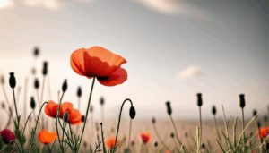 La signification et la langue des fleurs : le coquelicot révélé Le coquelicot, avec sa floraison éclatante et chaleureuse, n’est pas qu’une simple fleur des champs; il incarne des valeurs profondes dans le langage des fleurs. Ce symbole puissant de […]