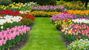 Imaginer un jardin où chaque saison apporte sa touche de couleur et de vie relève souvent du rêve pour les passionnés de jardinage. Pourtant, créer un massif fleuri qui s’épanouit du premier souffle du printemps jusqu’aux frimas de l’hiver est […]